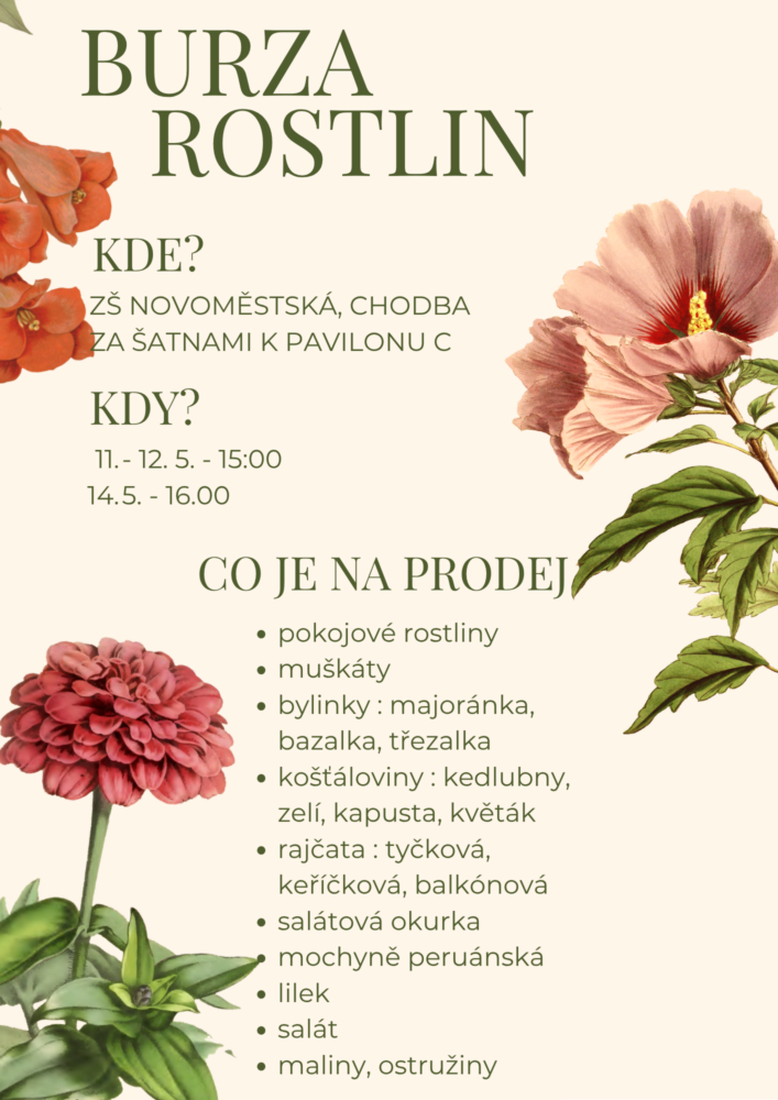 Burza rostlin